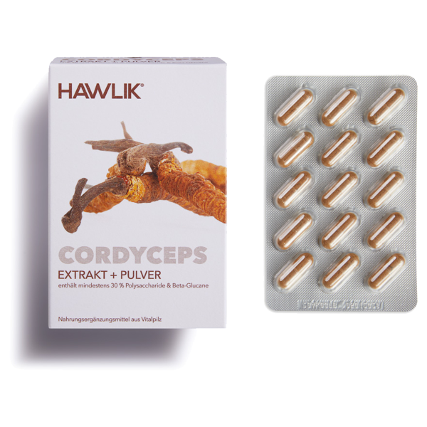 Hawlik Cordyceps Extrakt + Pulver Kapseln 120 Stück