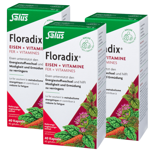 Floradix Eisen + Vitamine Kapseln 3x 40 Stück neu