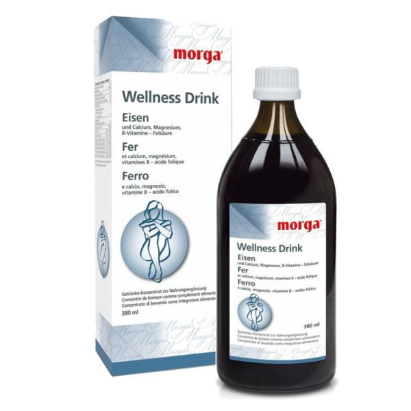 MORGA Eisen Wellness-Drink 380ml