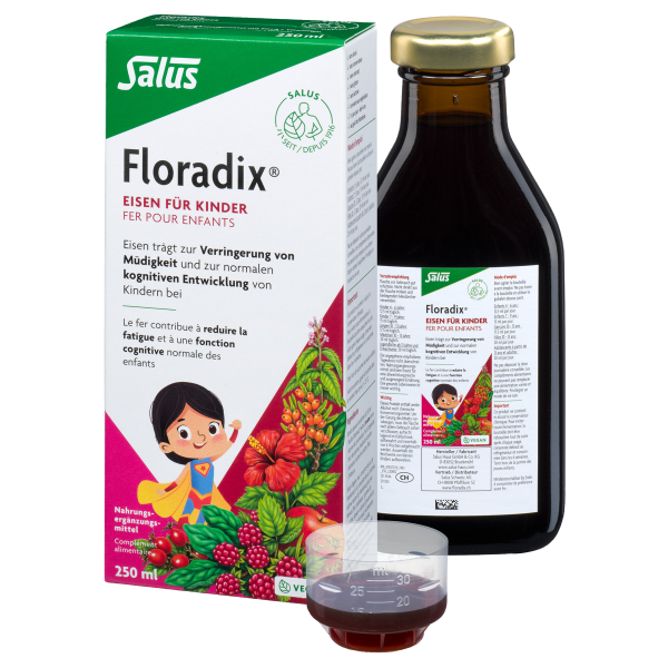Floradix Eisen + Vitamine für Kinder Saft 250 ml